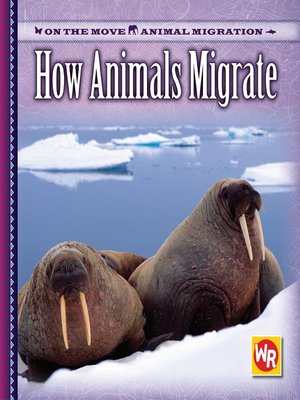 cover image of How Animals Migrate